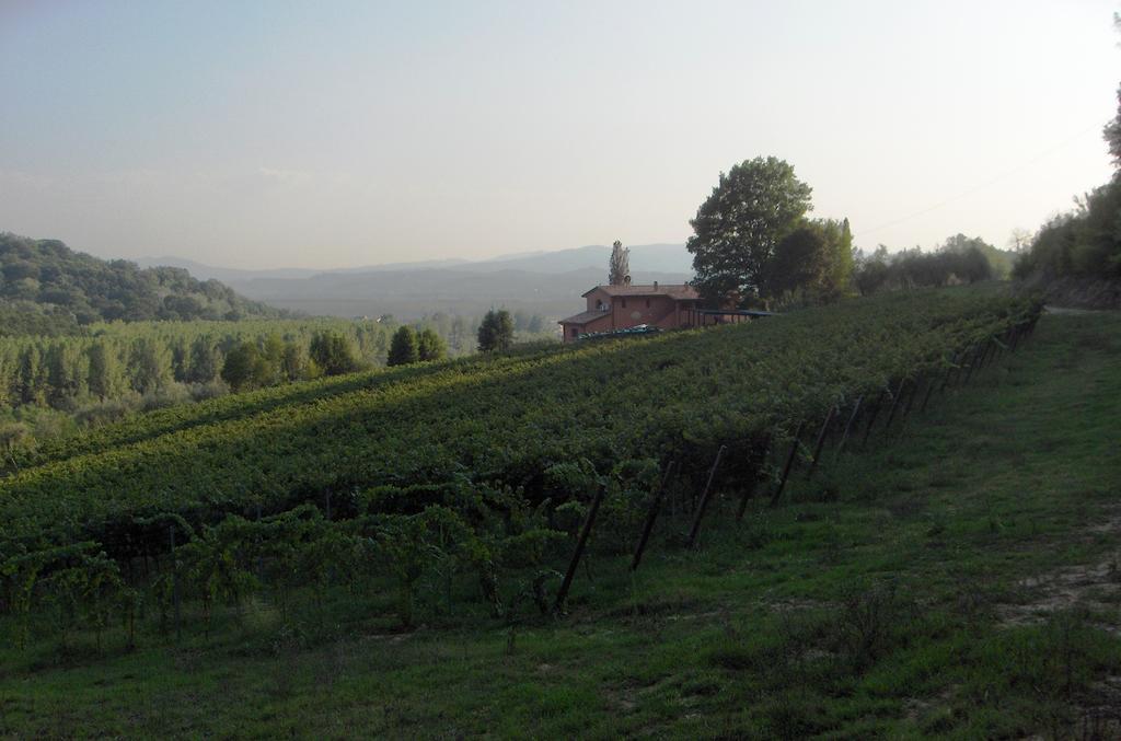 Podere Chiaromonte Palaia Exteriör bild