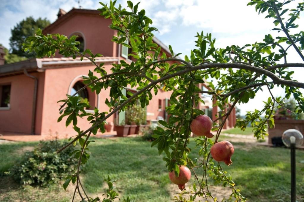 Podere Chiaromonte Palaia Exteriör bild
